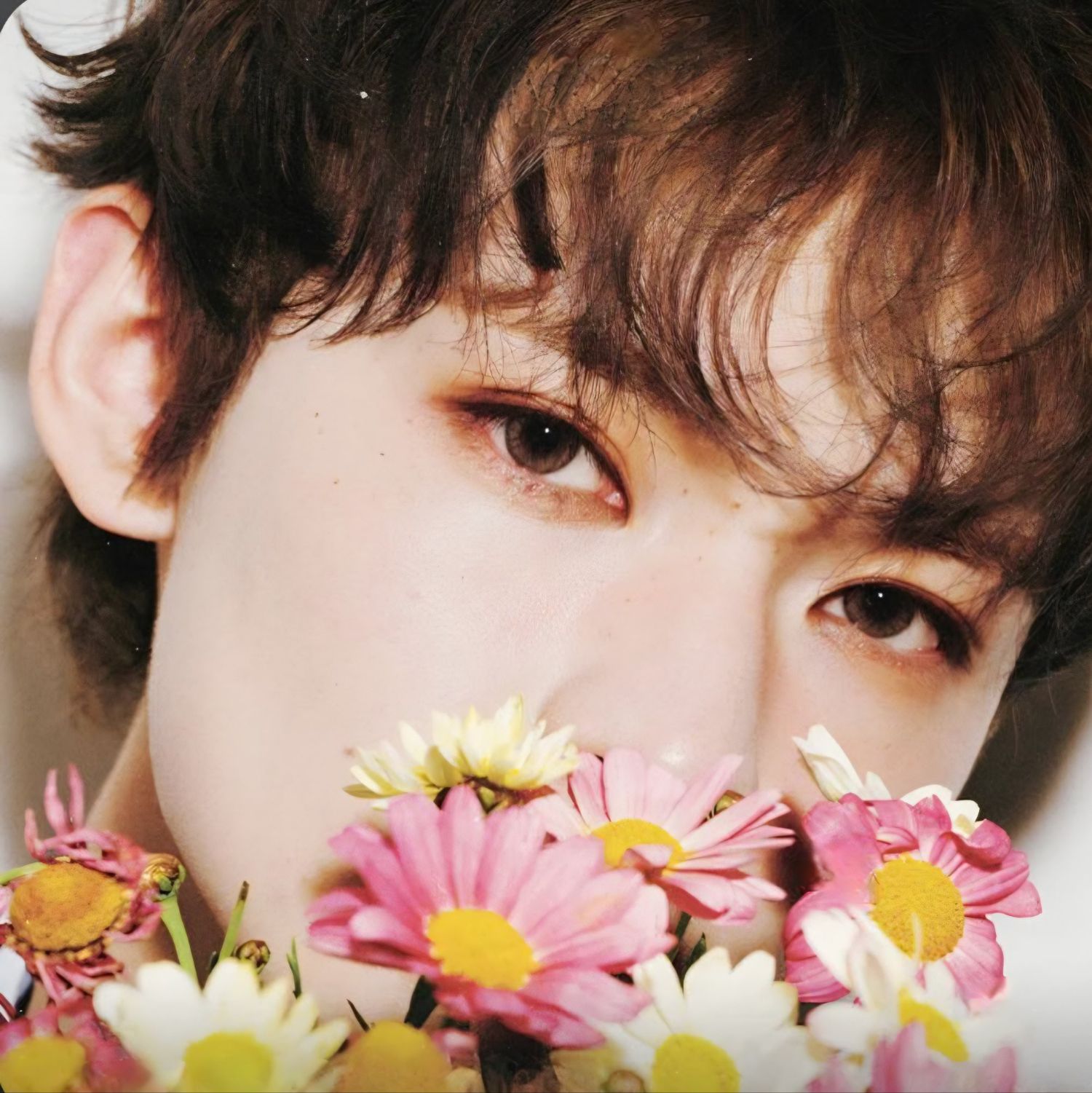 Recent activity shot of Chenle (NCT DREAM)
