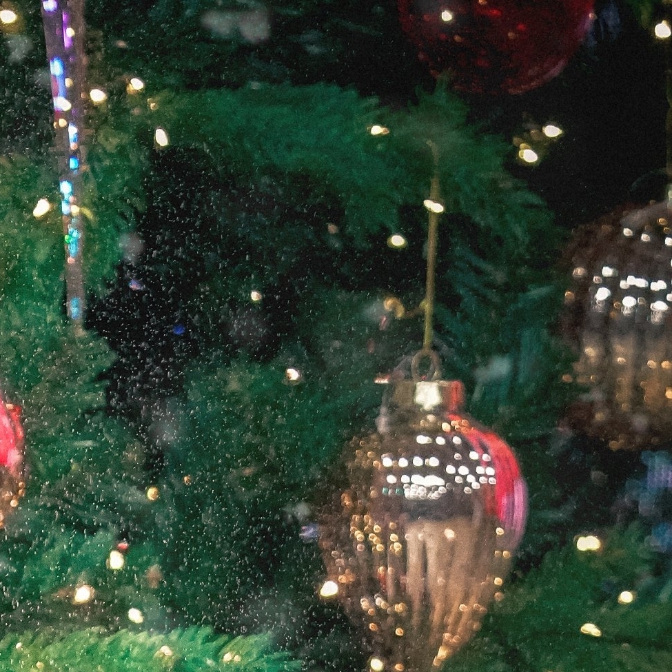 スア (DREAMCATCHER)の最近の活動写真