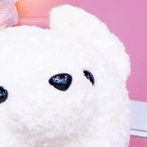 Latest photo of ViVi (Loossemble)