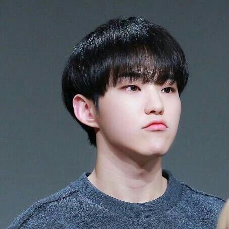 세븐틴의 최신 사진