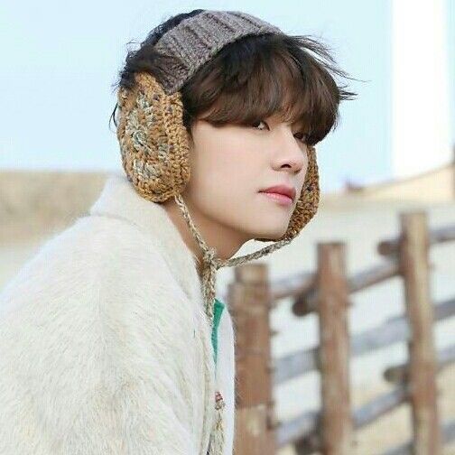 V (BTS)の舞台裏ショット