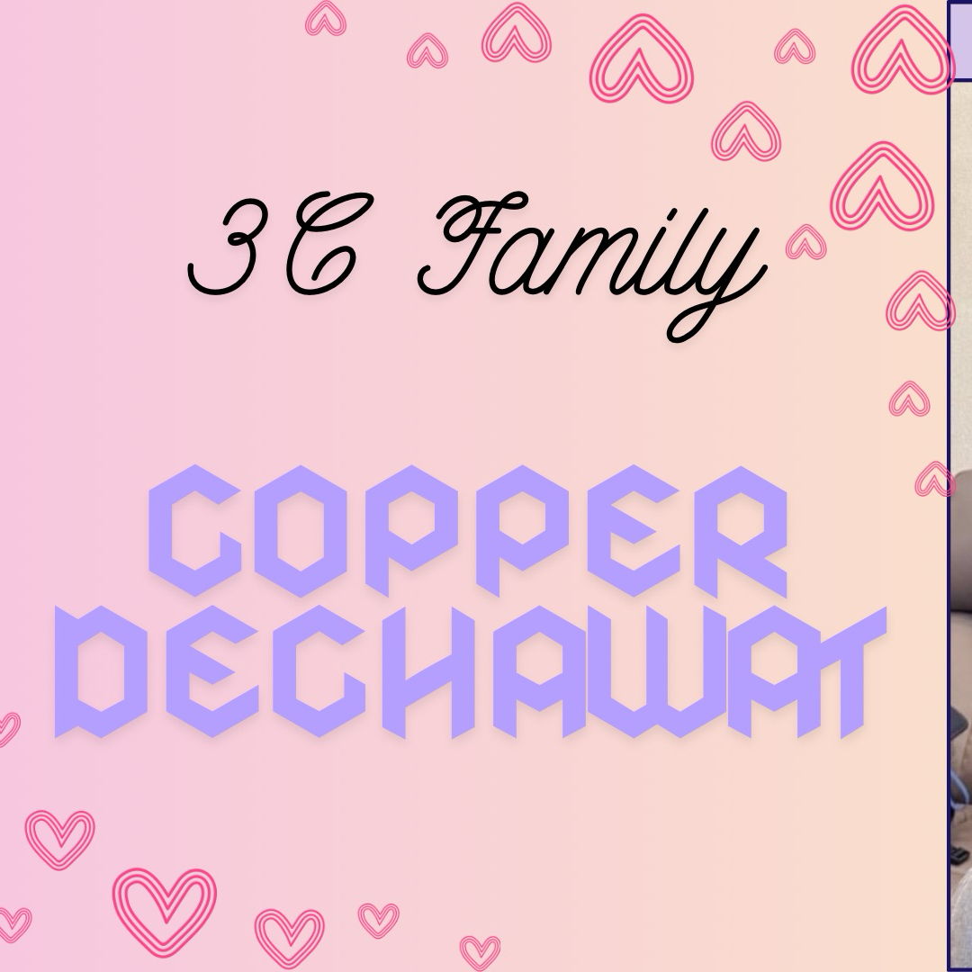 Recent activity shot of Copper (BUS)