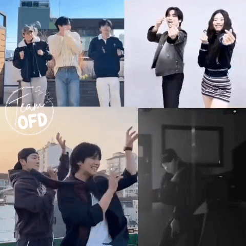 Recent activity shot of Rocky