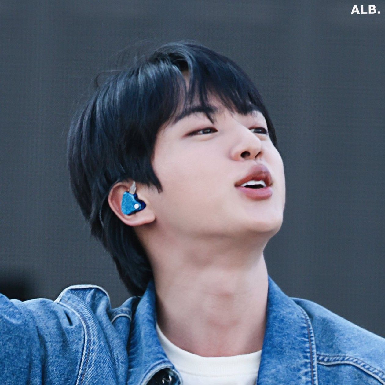 A moment captured by Jin (BTS)'s fan