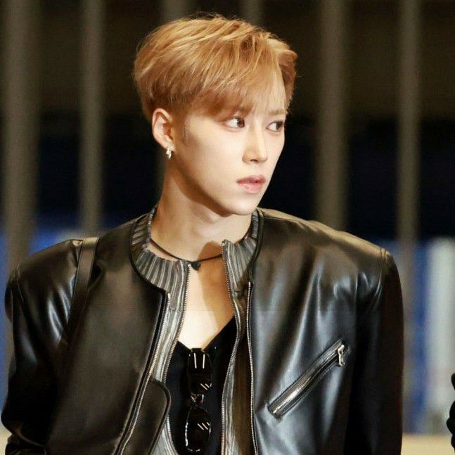 Arno (ALPHA DRIVE ONE)的最新照片