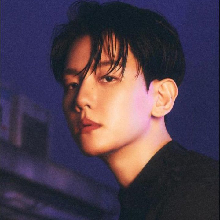 伯賢 (EXO)的幕後花絮