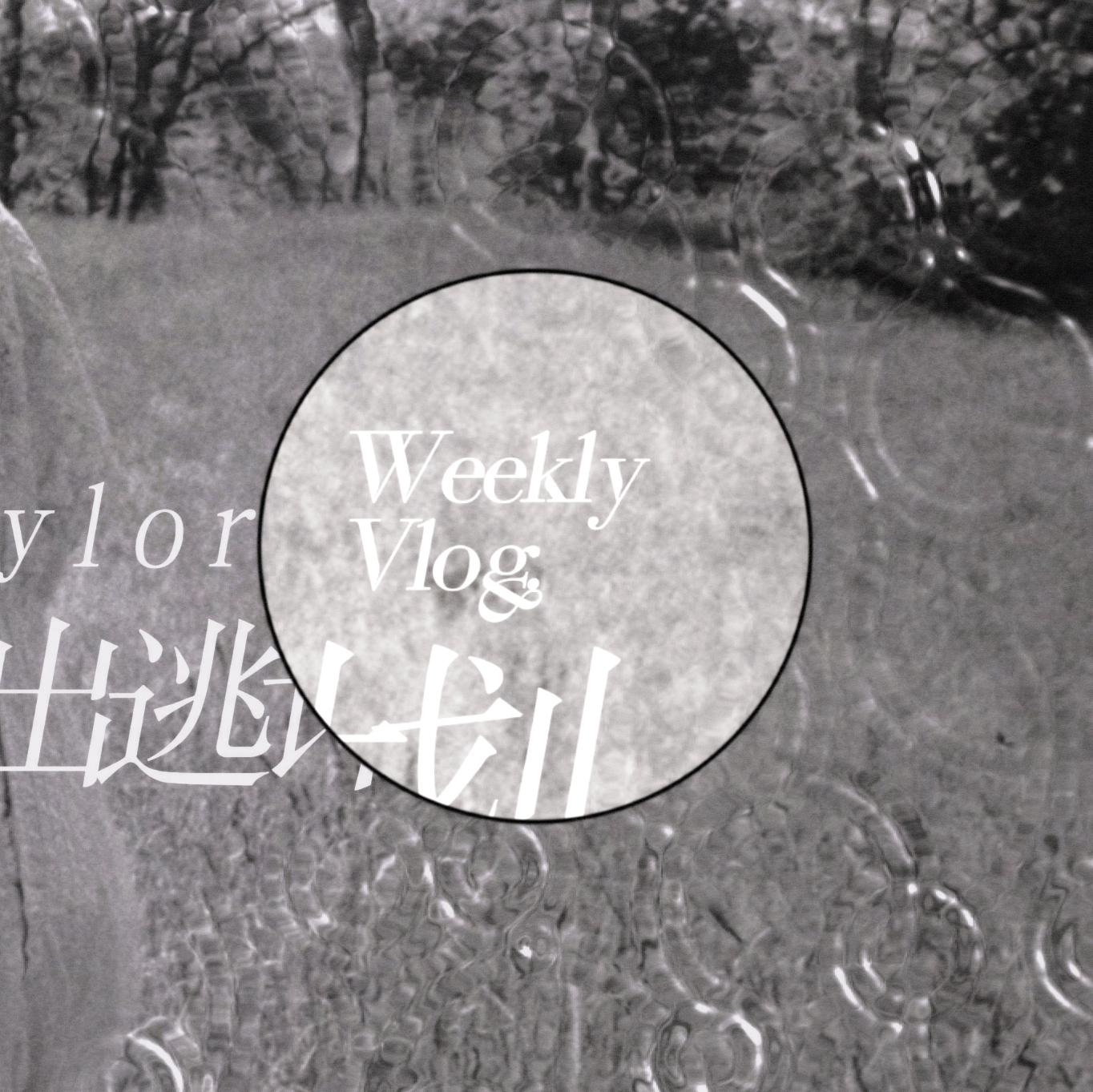 Latest photo of Taylor Swift