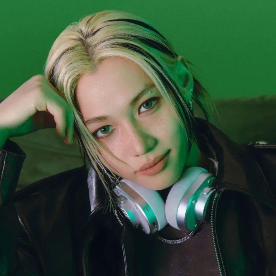 필릭스 (Stray Kids) 팬이 찍은 순간