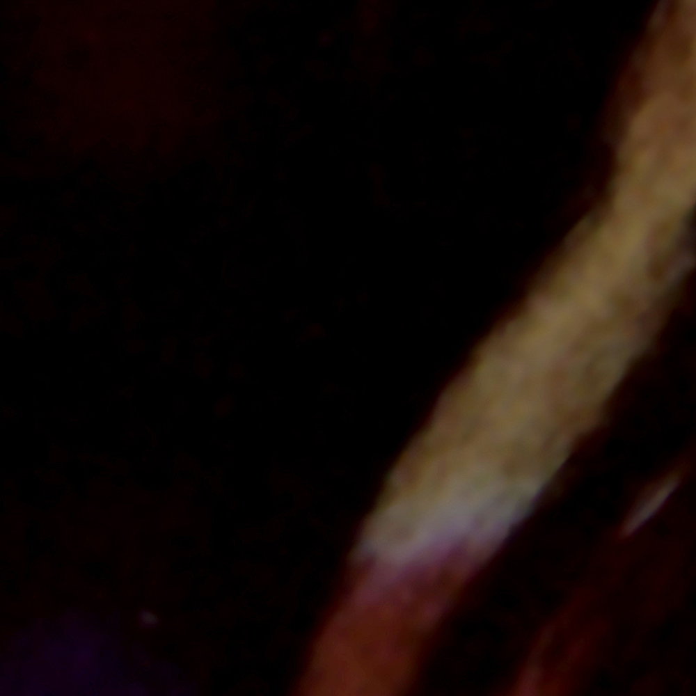 Recent activity shot of Go Won (Loossemble)