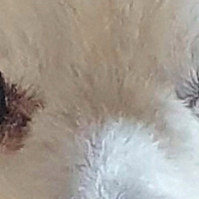 Recent activity shot of Ravn