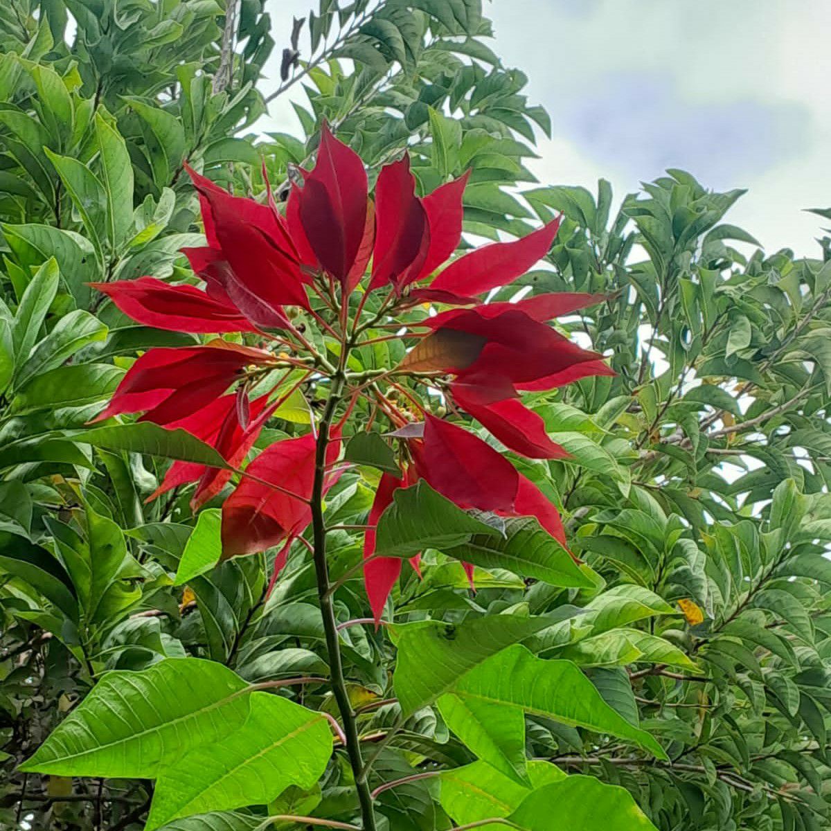 Latest photo of Moonbin (ASTRO)