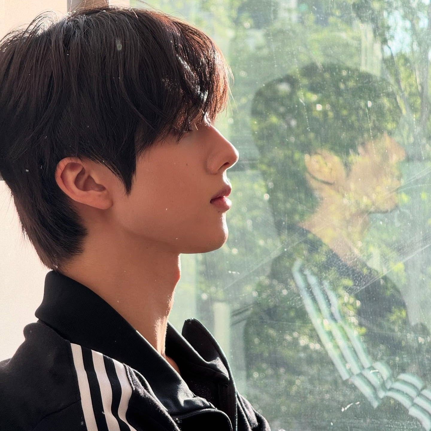 NCT DREAM チソン メイン NCT DREAM・チソンがインスタ開設、メンバー全員が個人