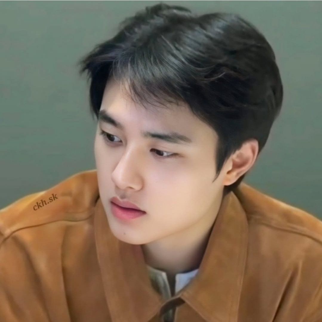 디오 (EXO) 팬이 찍은 순간