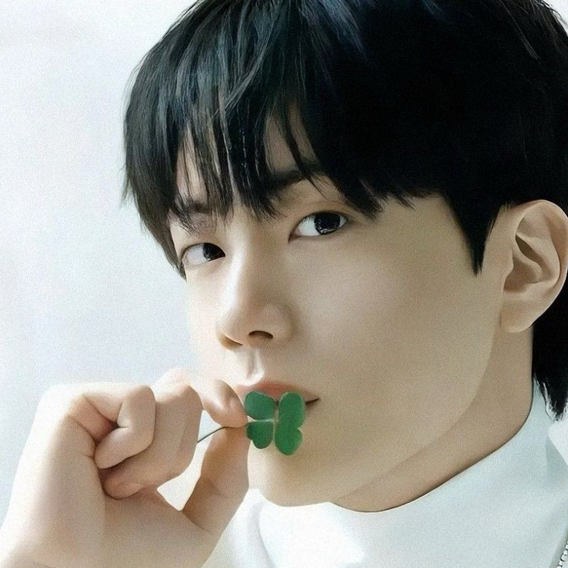 진 (방탄소년단) 팬이 찍은 순간