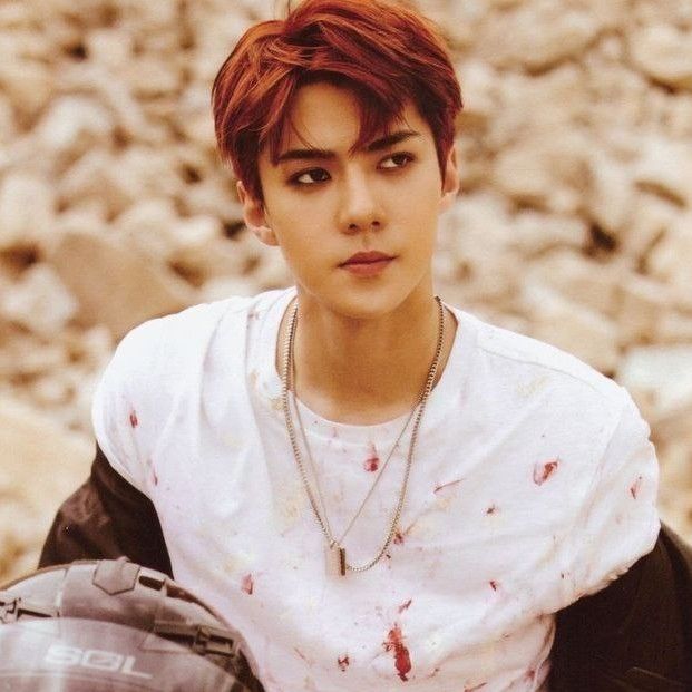 세훈 (EXO)의 비하인드 컷