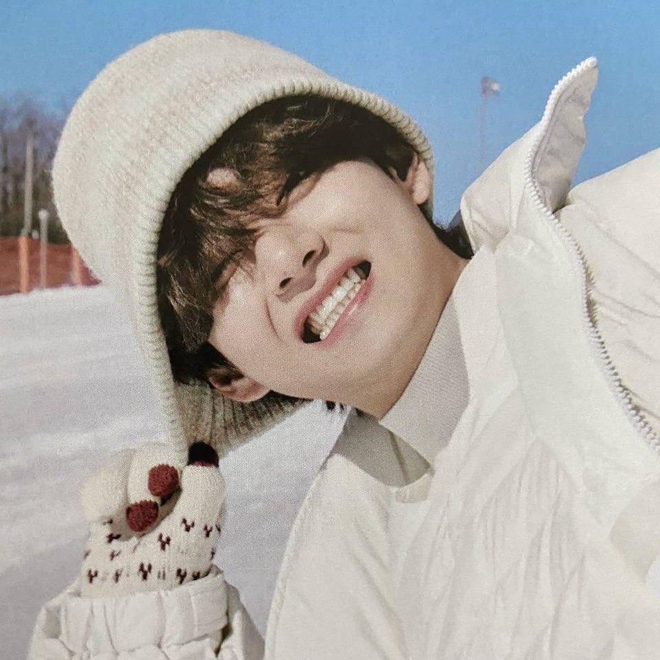 Behind-the-scenes cut of V (BTS)