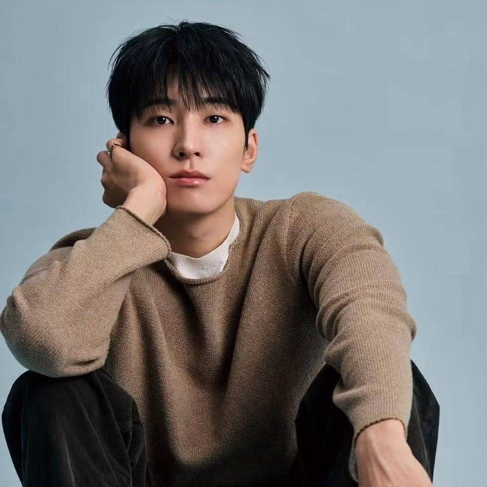 Recent activity shot of Wonwoo (SEVENTEEN)