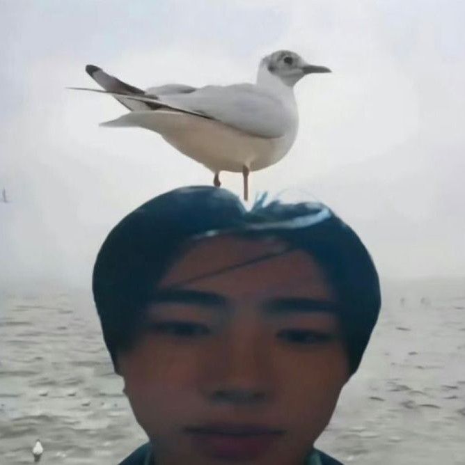 Recent activity shot of Sunghoon (ENHYPEN)