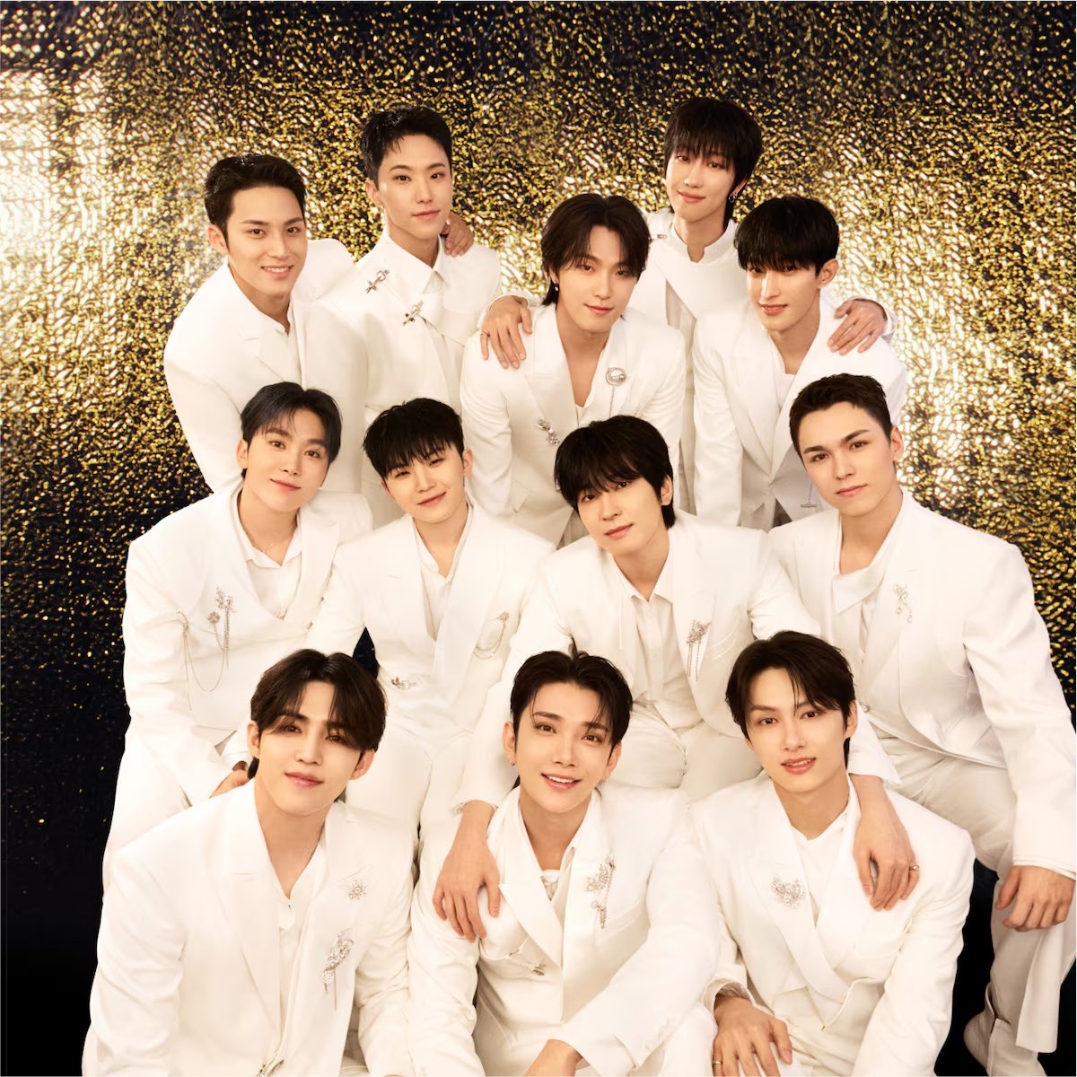 세븐틴 팬이 찍은 순간