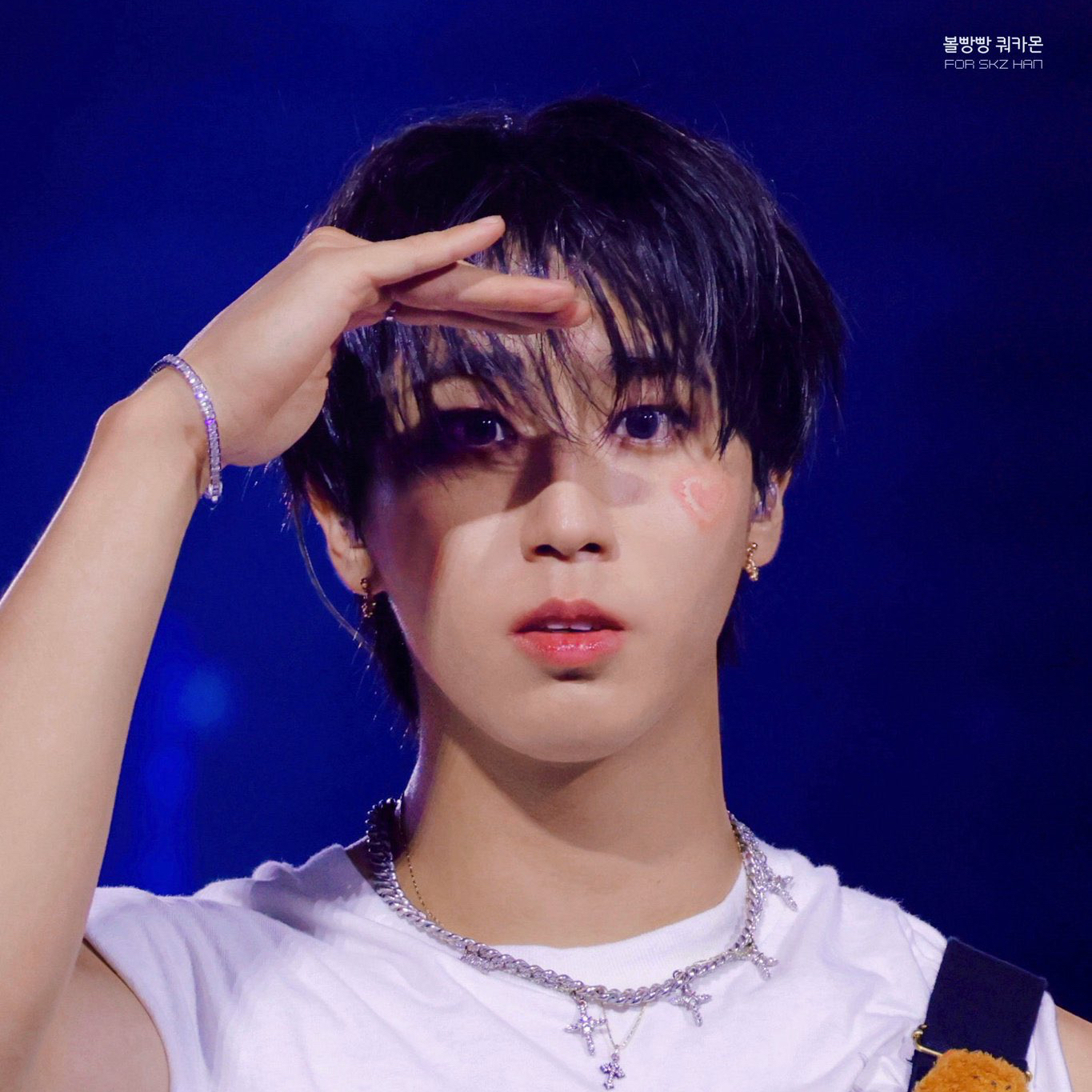 Recent activity shot of HAN (Stray Kids)