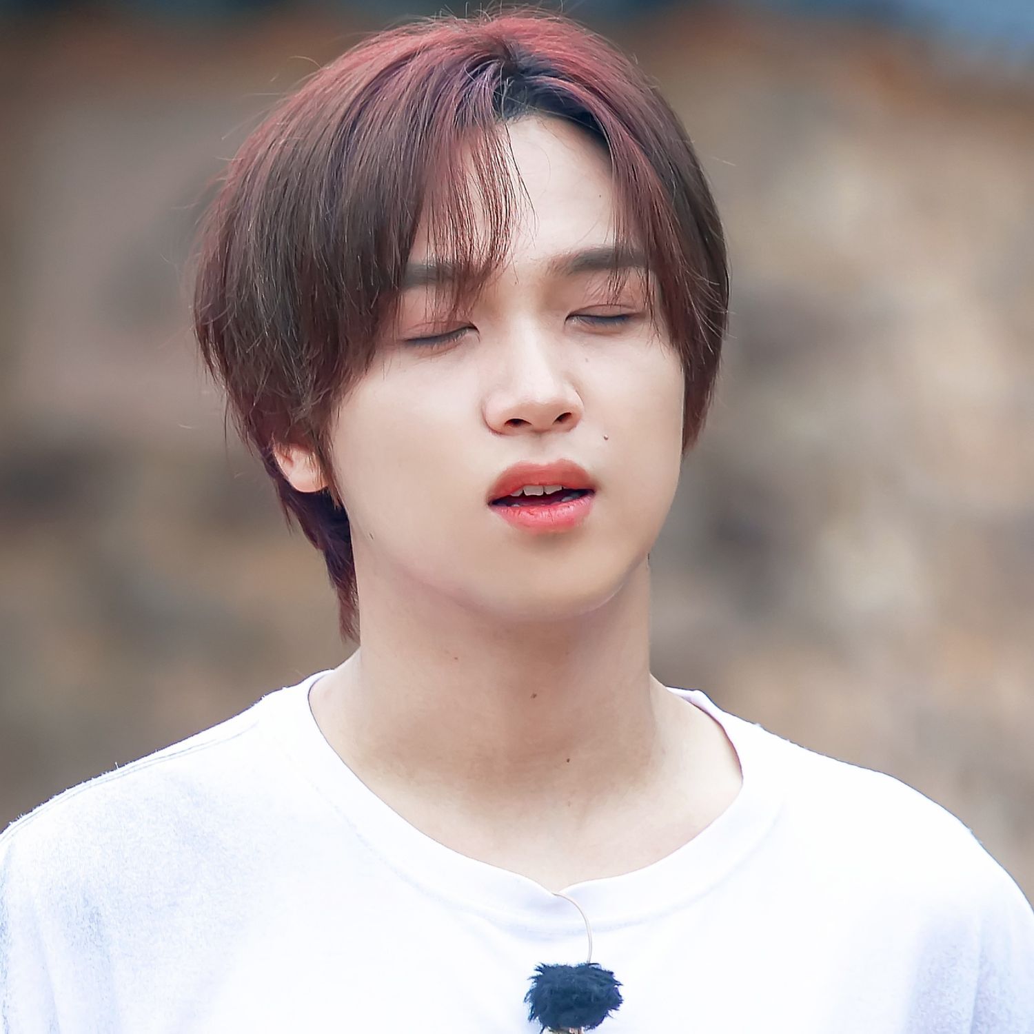 A moment captured by Haechan (NCT 127, NCT DREAM)'s fan