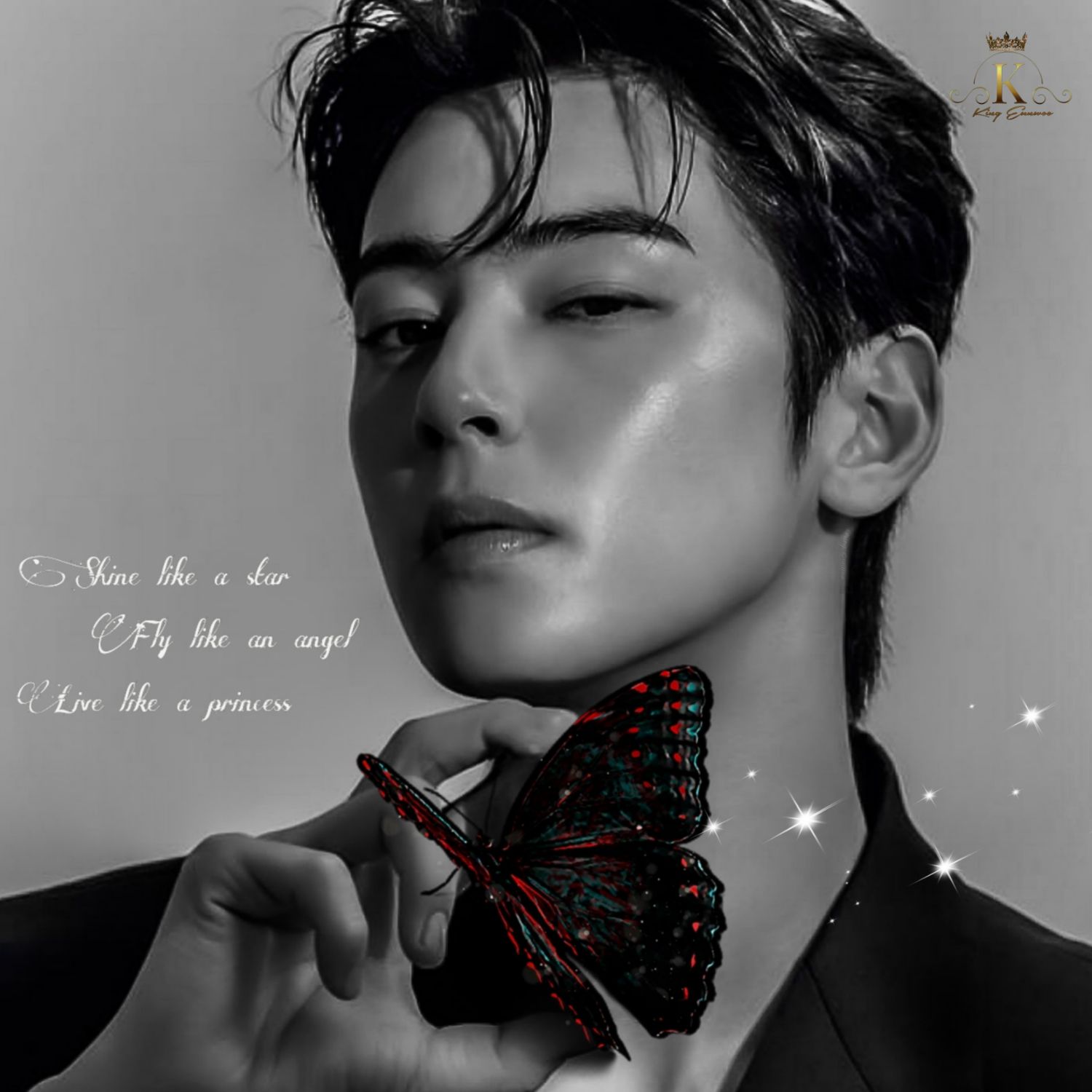 A moment captured by Eunwoo (ASTRO)'s fan