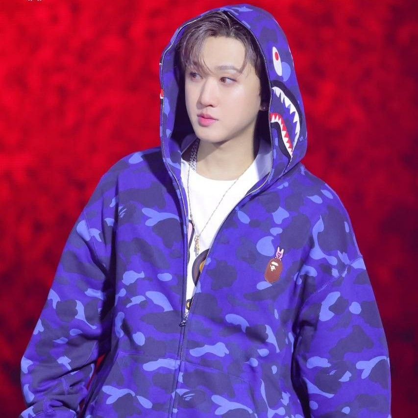 彰彬 (Stray Kids)粉丝拍下的瞬间