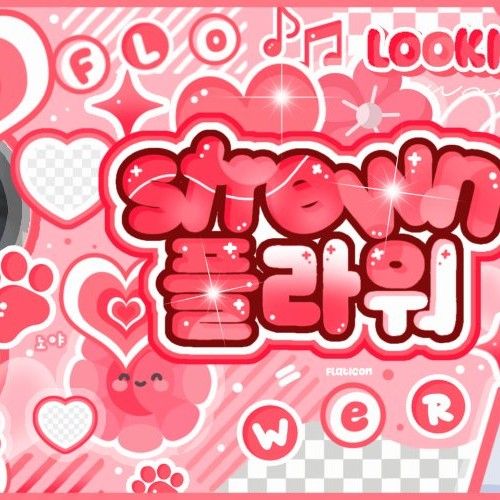 가온 (Xdinary Heroes) 팬이 찍은 순간