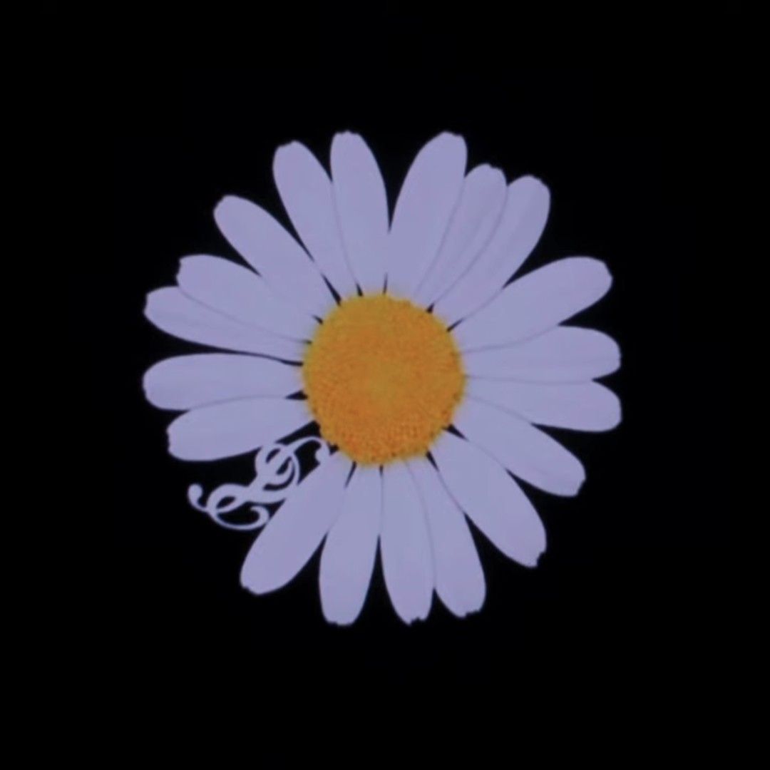 Latest photo of G-DRAGON (BIGBANG)