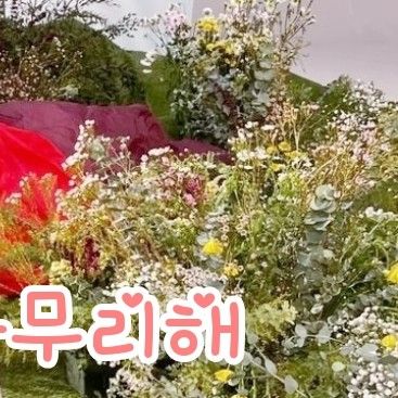 Latest photo of Wheein (MAMAMOO)