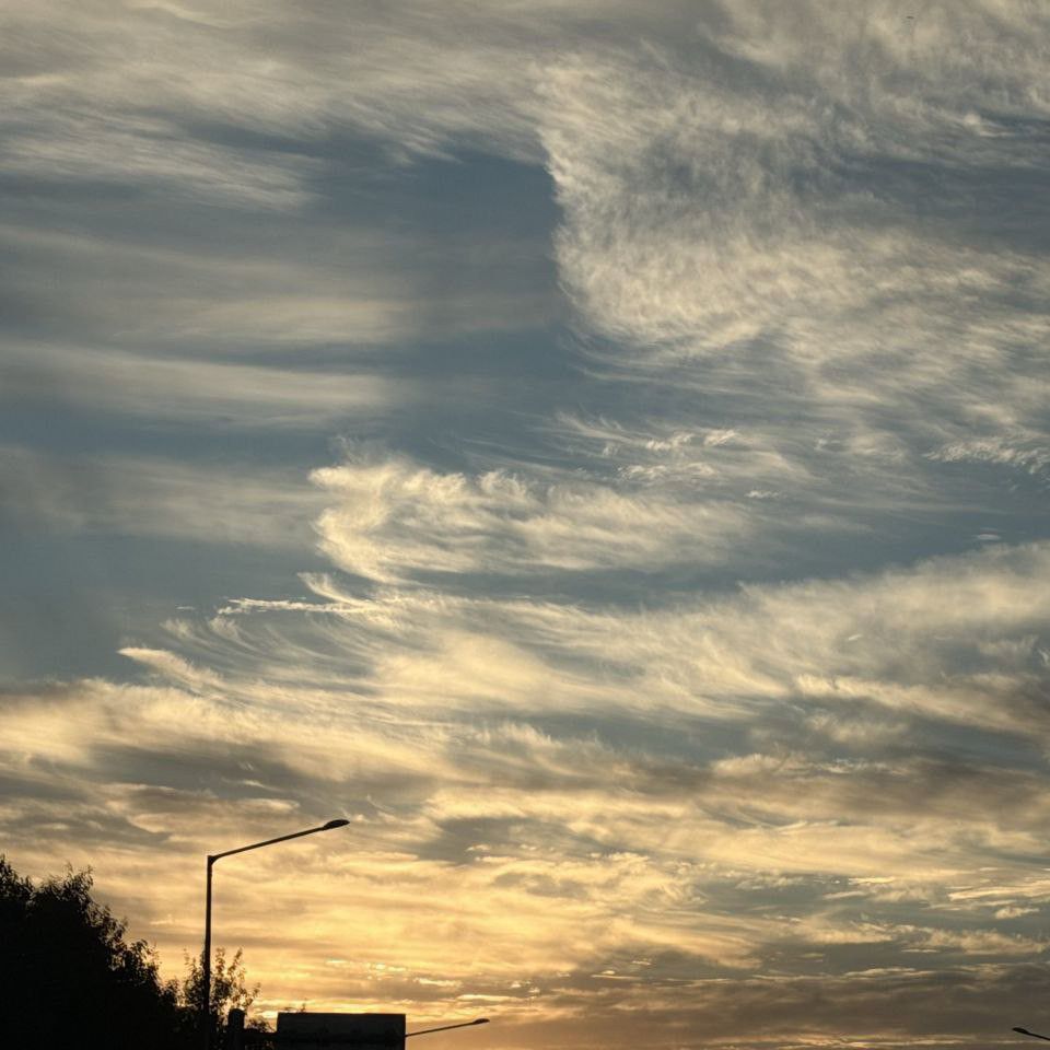 EXO 최근 활동샷