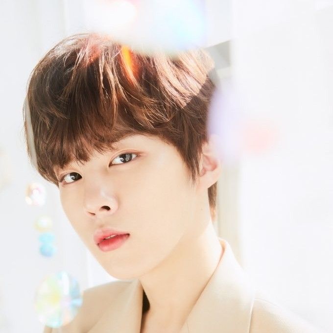 Recent activity shot of Kim Wooseok