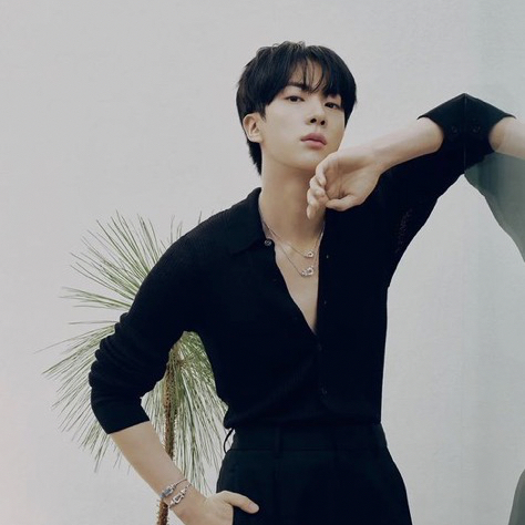 A moment captured by Jin (BTS)'s fan