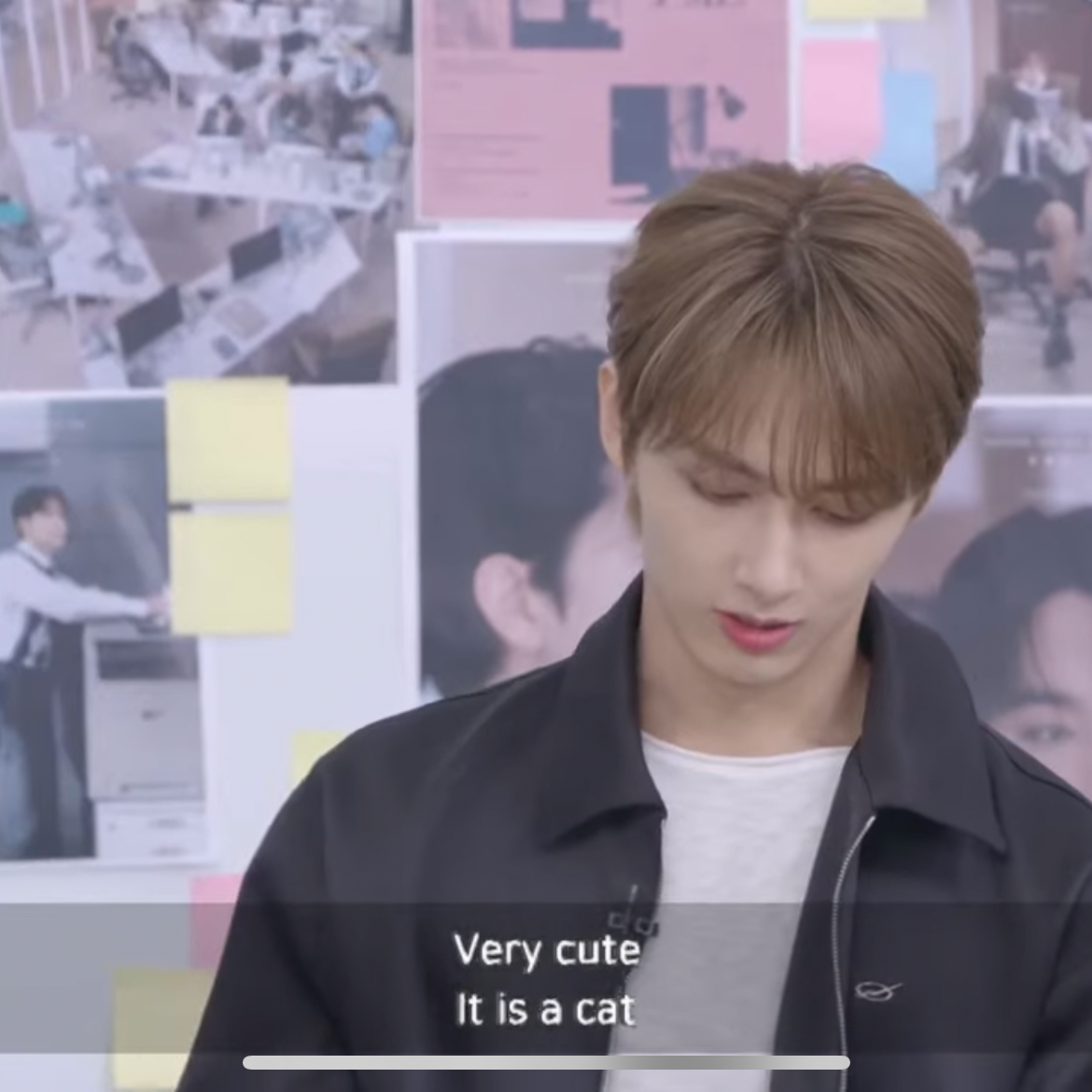 Momen yang diabadikan oleh penggemar SEVENTEEN