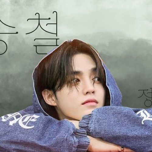 Popular profile picture of S.Coups (SEVENTEEN) loved by fans