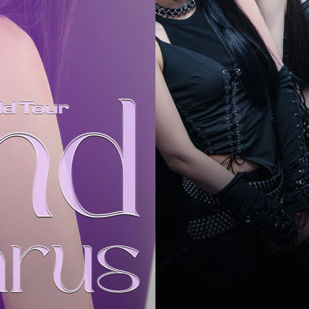 A moment captured by ARTMS's fan