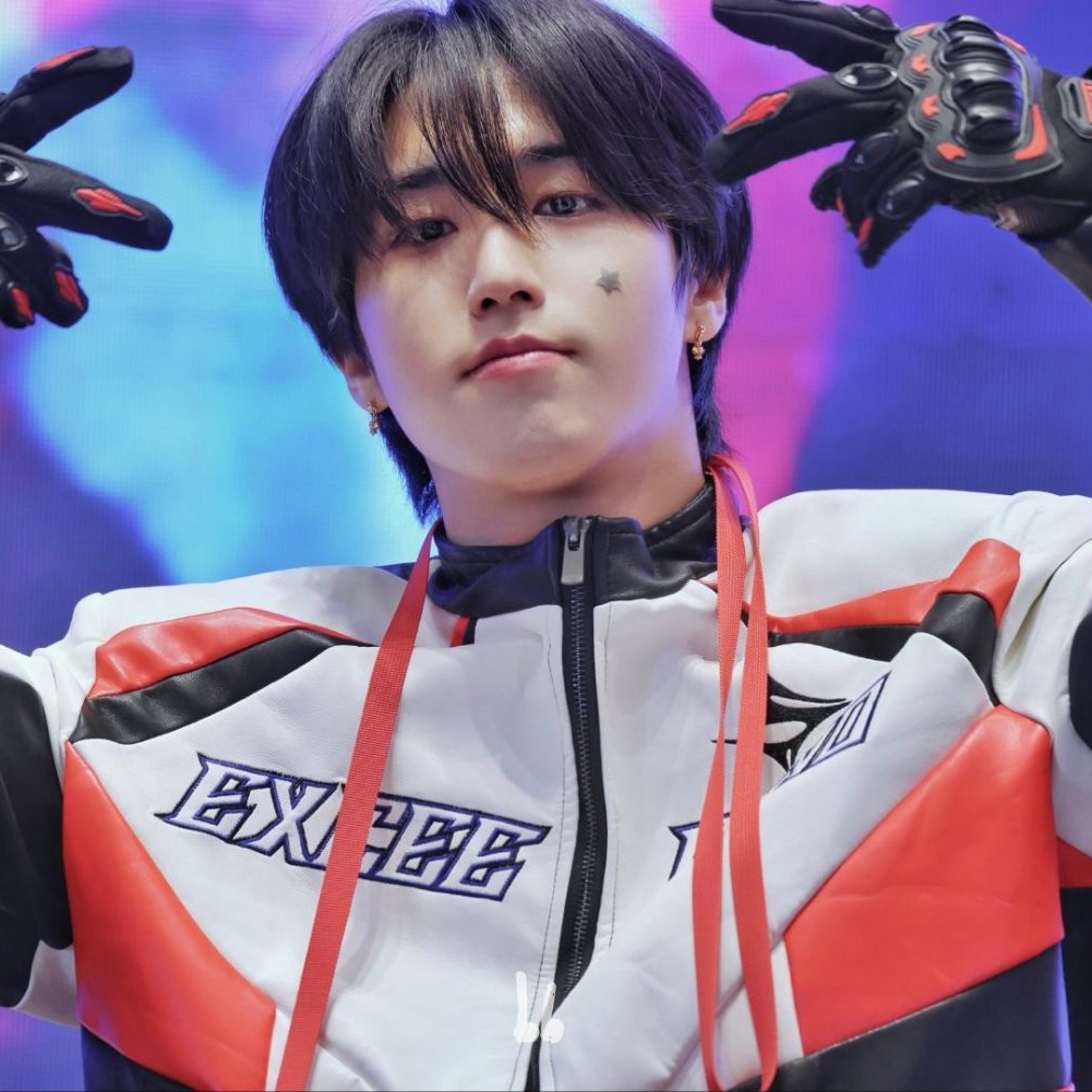 A moment captured by HAN (Stray Kids)'s fan