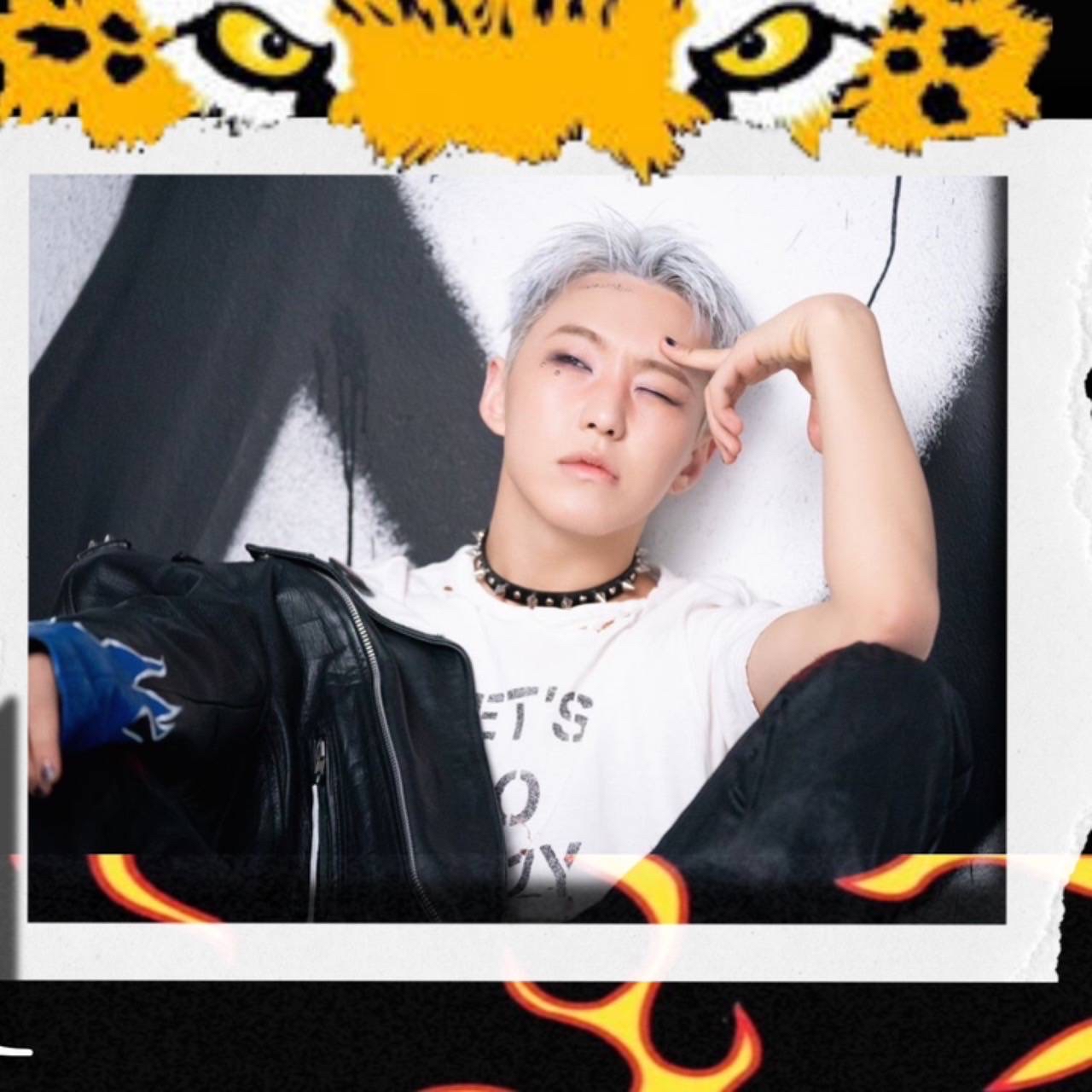 A moment captured by Hoshi (SEVENTEEN)'s fan