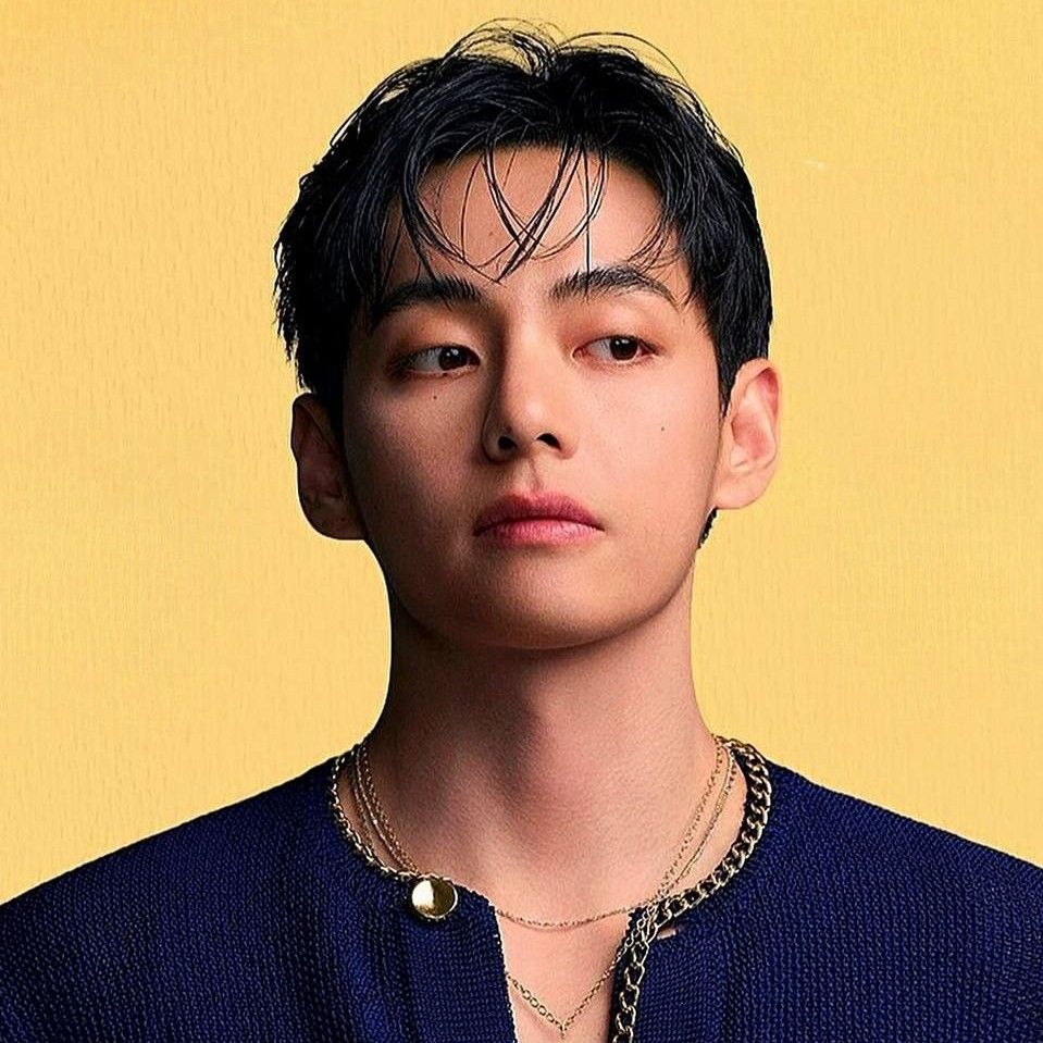 뷔 (방탄소년단) 팬이 찍은 순간