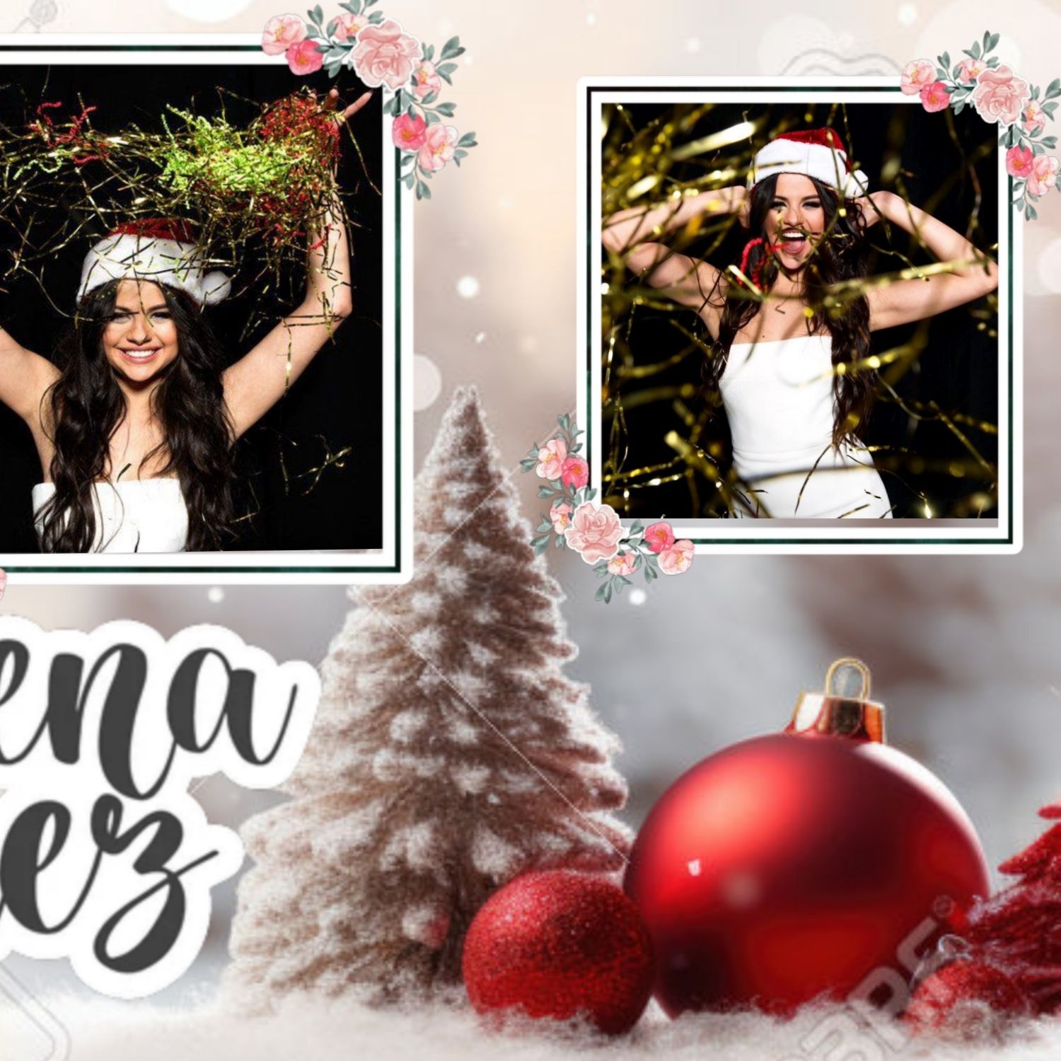 A moment captured by Selena Gomez's fan