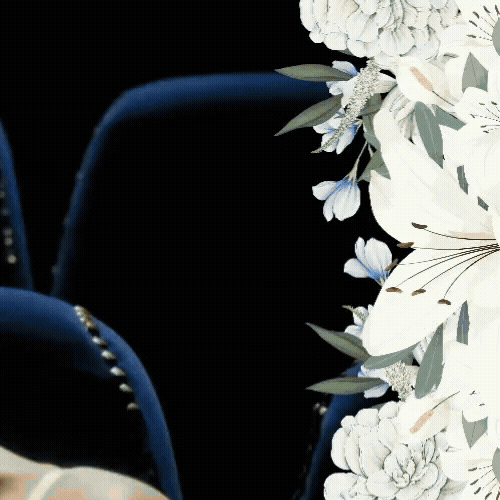 모모 (TWICE) 팬이 찍은 순간