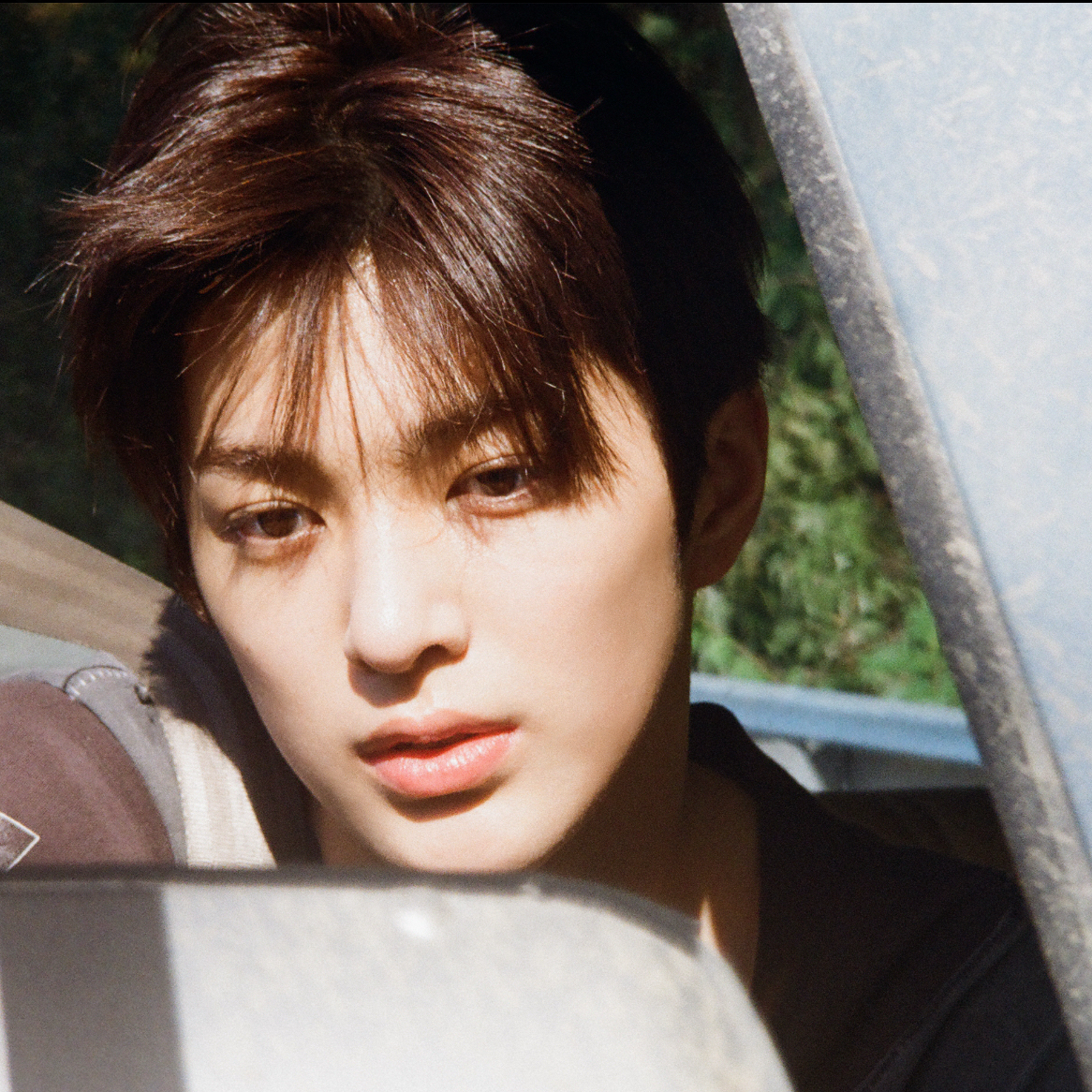 A moment captured by CORTIS's fan