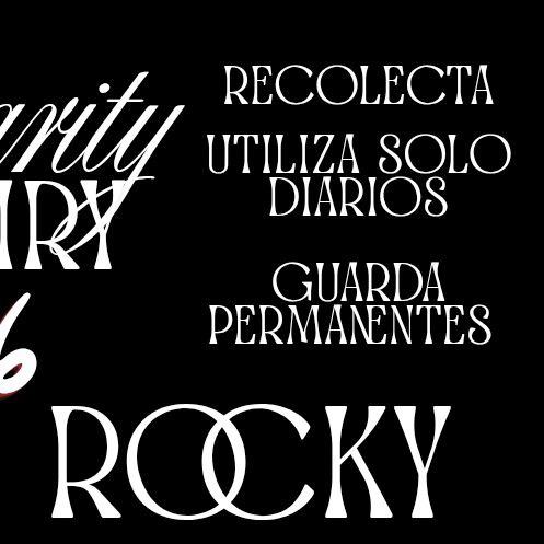 Recent activity shot of Rocky