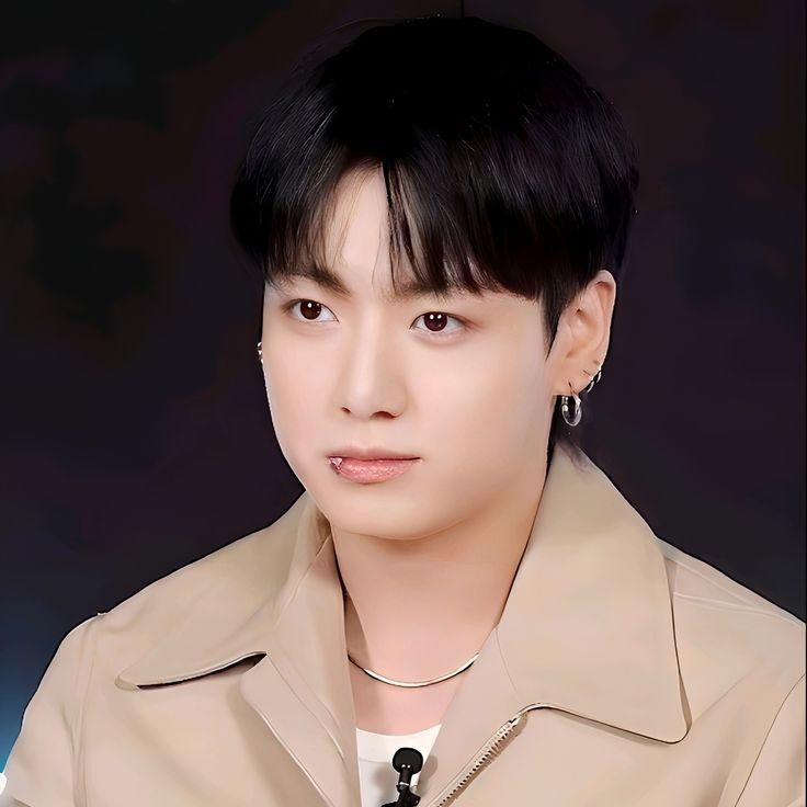 A moment captured by Jungkook (BTS)'s fan