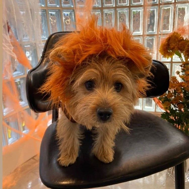 Recent activity shot of TWICE