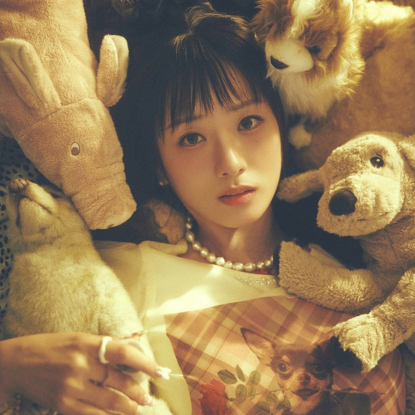 A moment captured by Yoon Bomi (Apink)'s fan