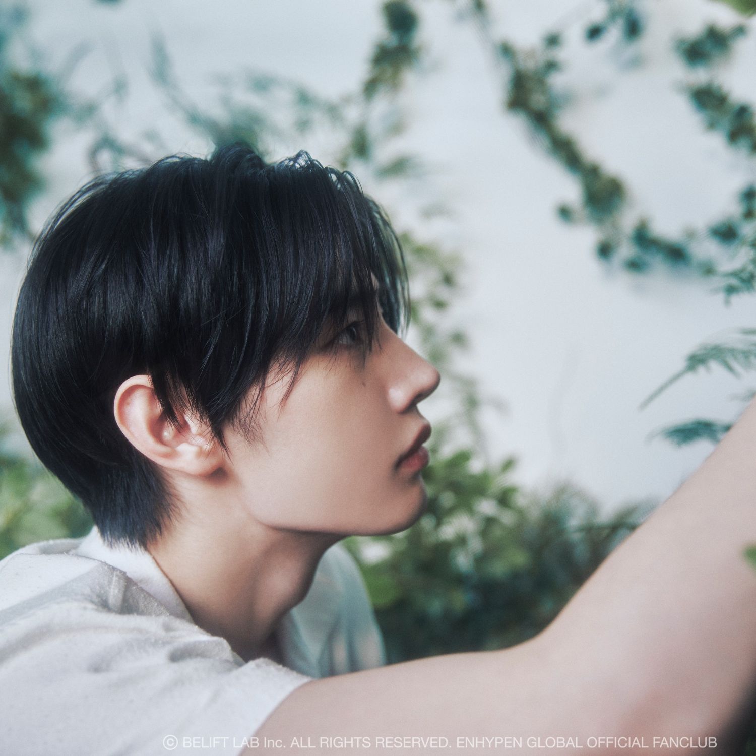 ENHYPEN的最新照片