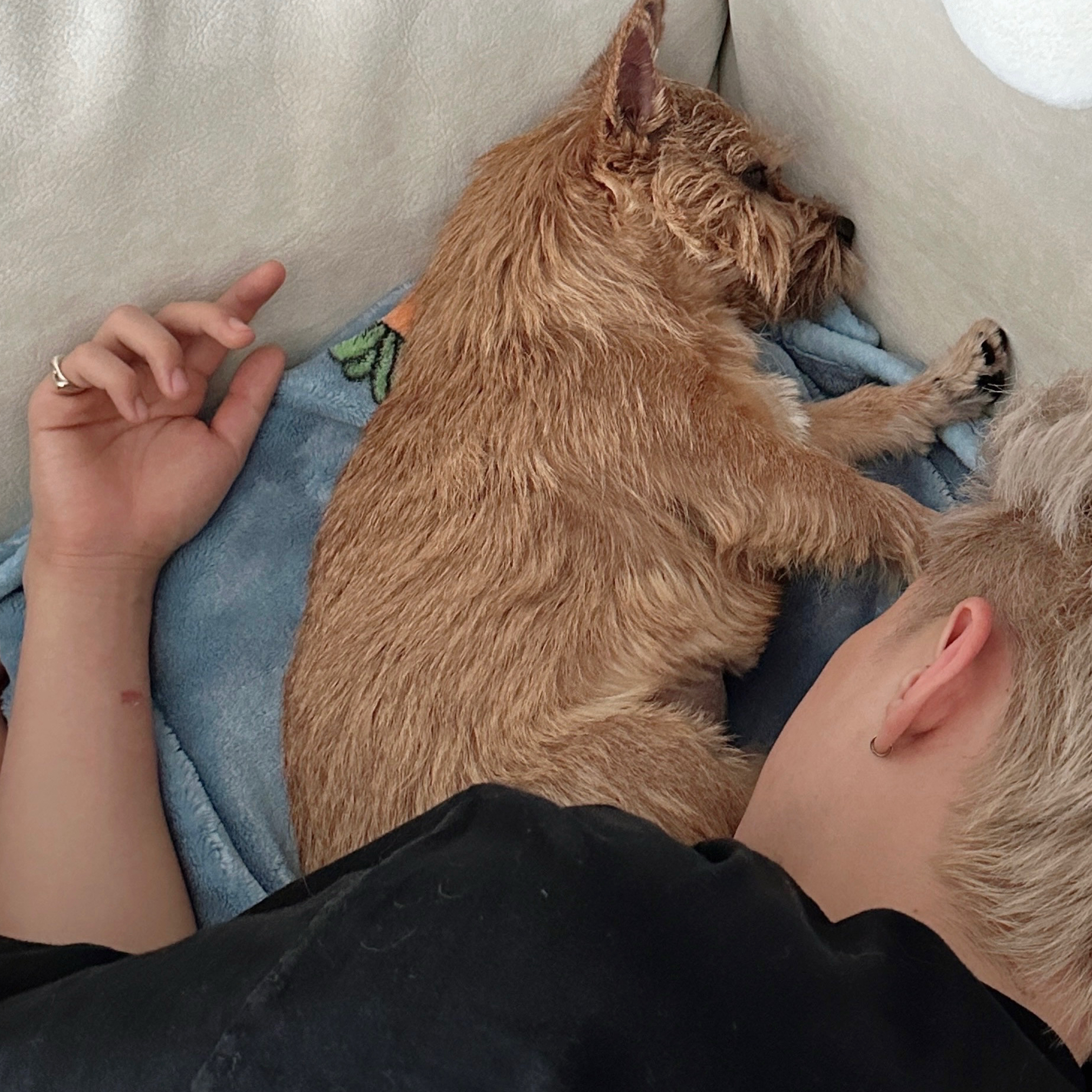 세븐틴의 최신 사진