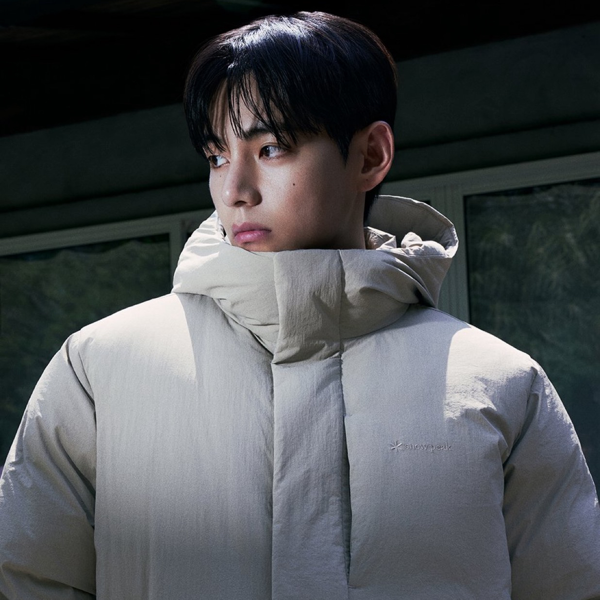 뷔 (방탄소년단) 팬이 찍은 순간