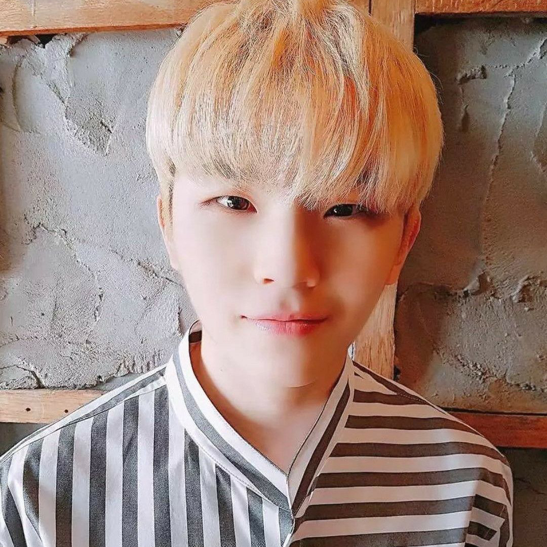 Latest photo of Woozi (SEVENTEEN)